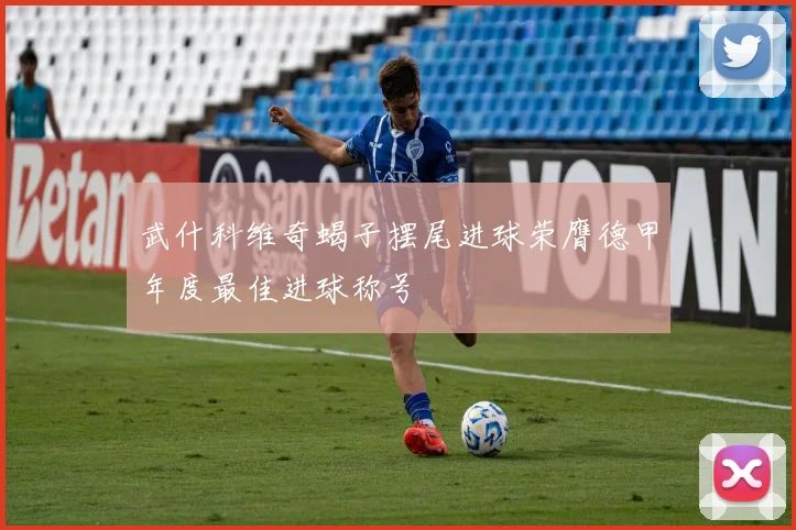武什科维奇蝎子摆尾进球荣膺德甲年度最佳进球称号