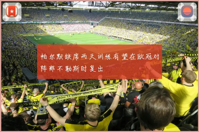帕尔默缺席两天训练有望在欧冠对阵那不勒斯时复出
